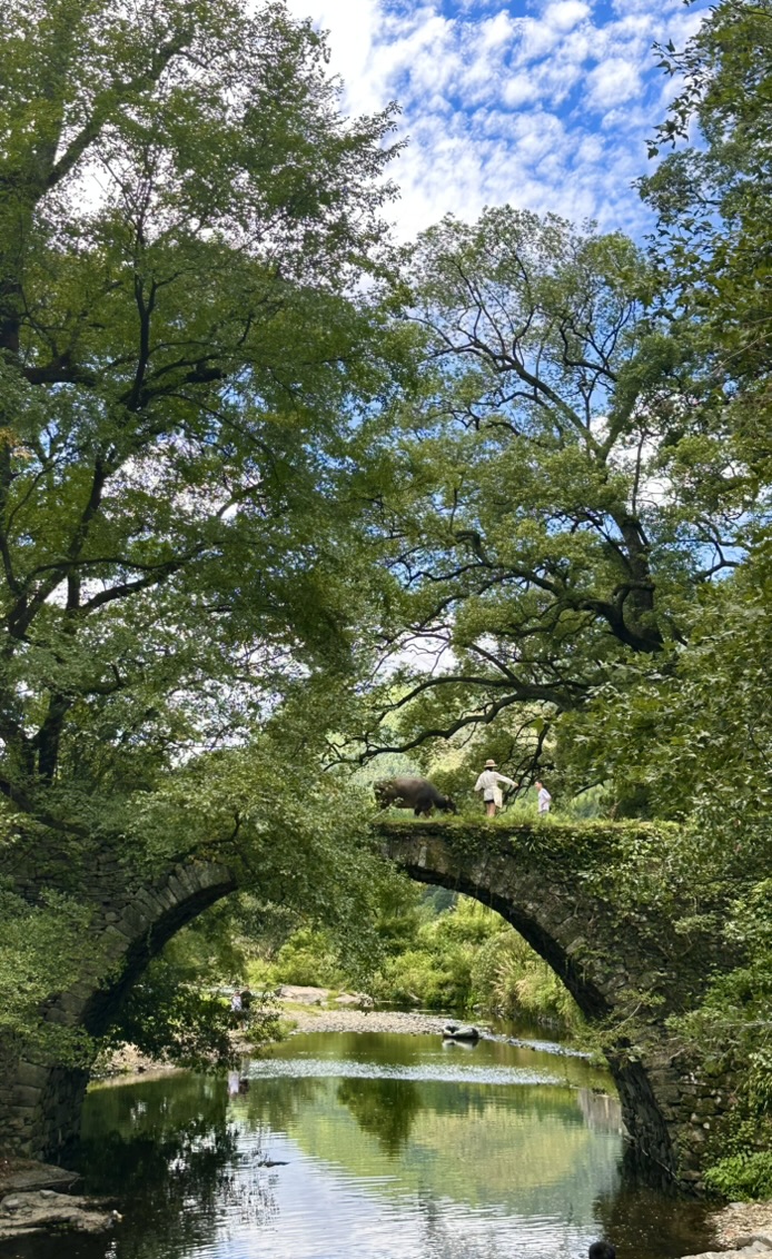 牵牛の桥