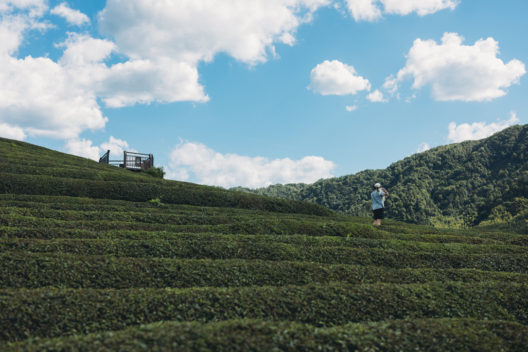茶山观景台