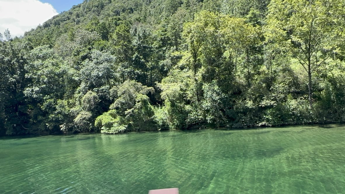 山边是绿油油的湖水