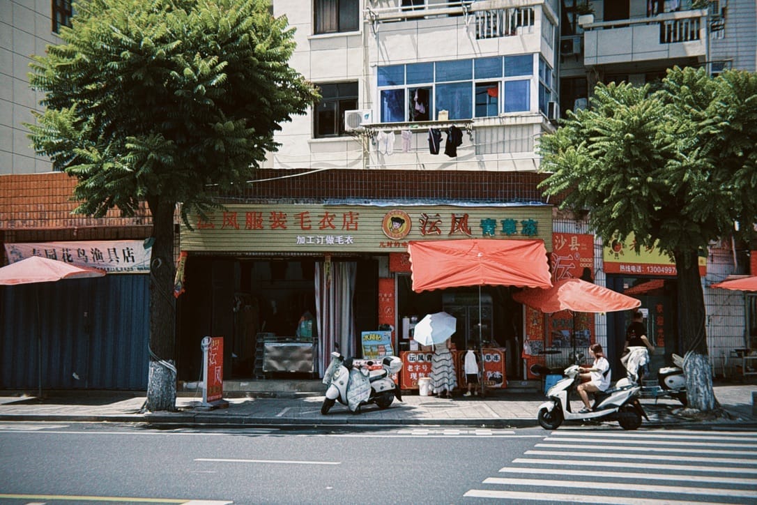 沄凤青草冻