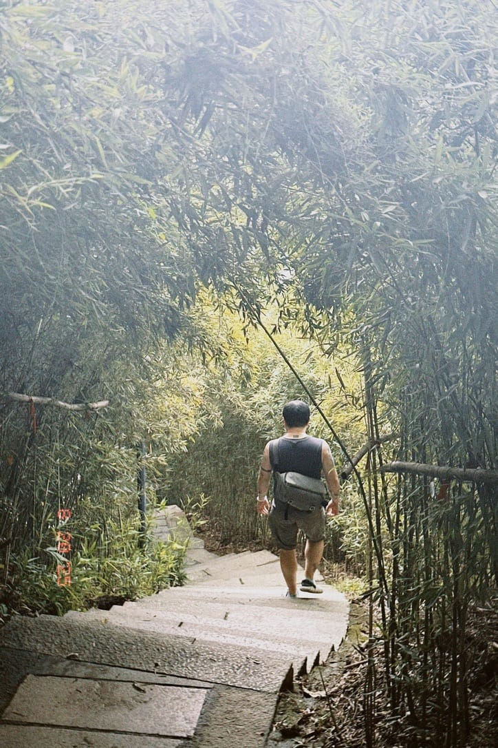 绕山の毛