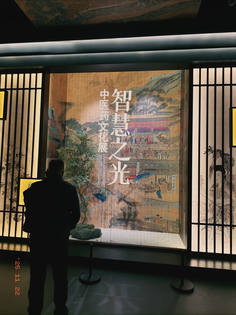 中医药文化展