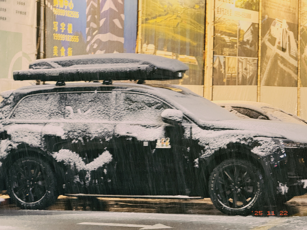 一毛一恙被雪埋