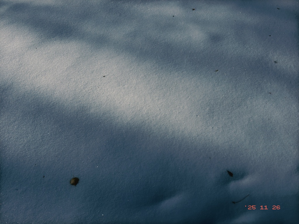 毫无人类痕迹的一片雪