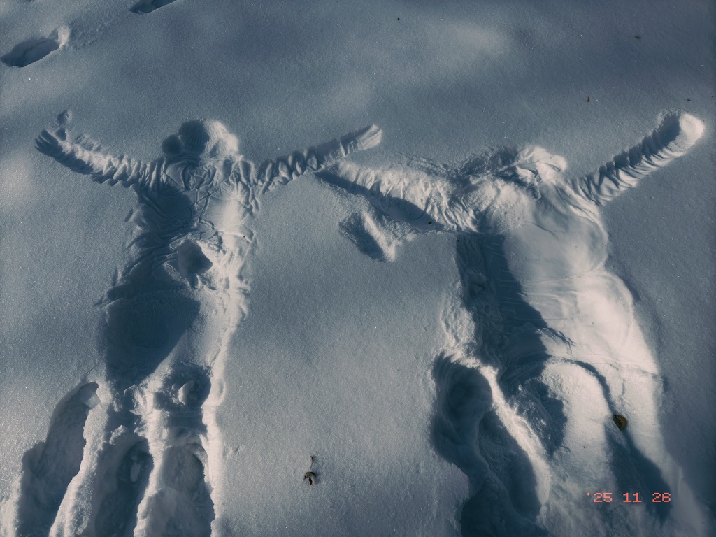 面积大的压强反而分散！