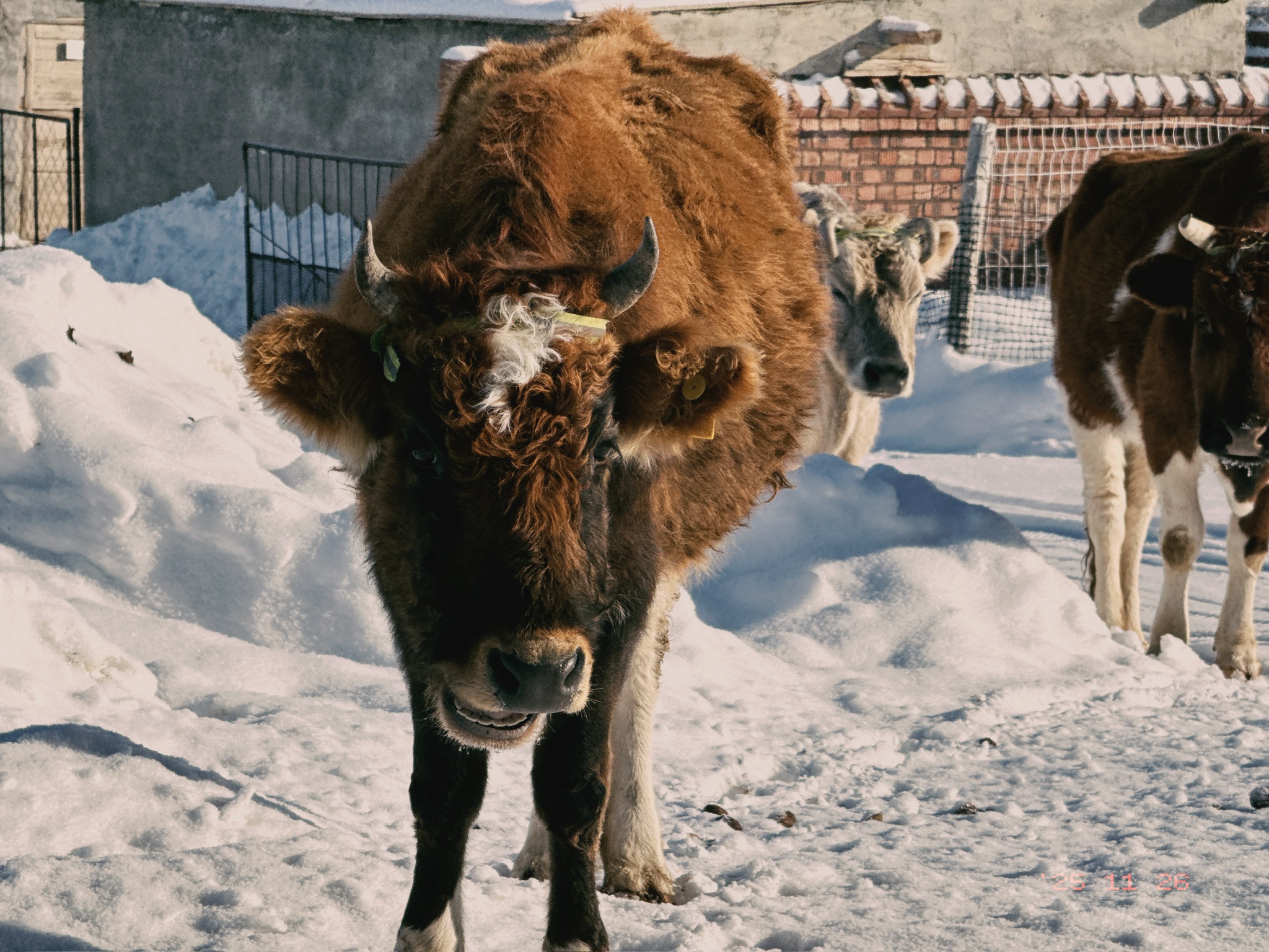 杭州 in77 附近发型比这头牛潮的不超过 30 人