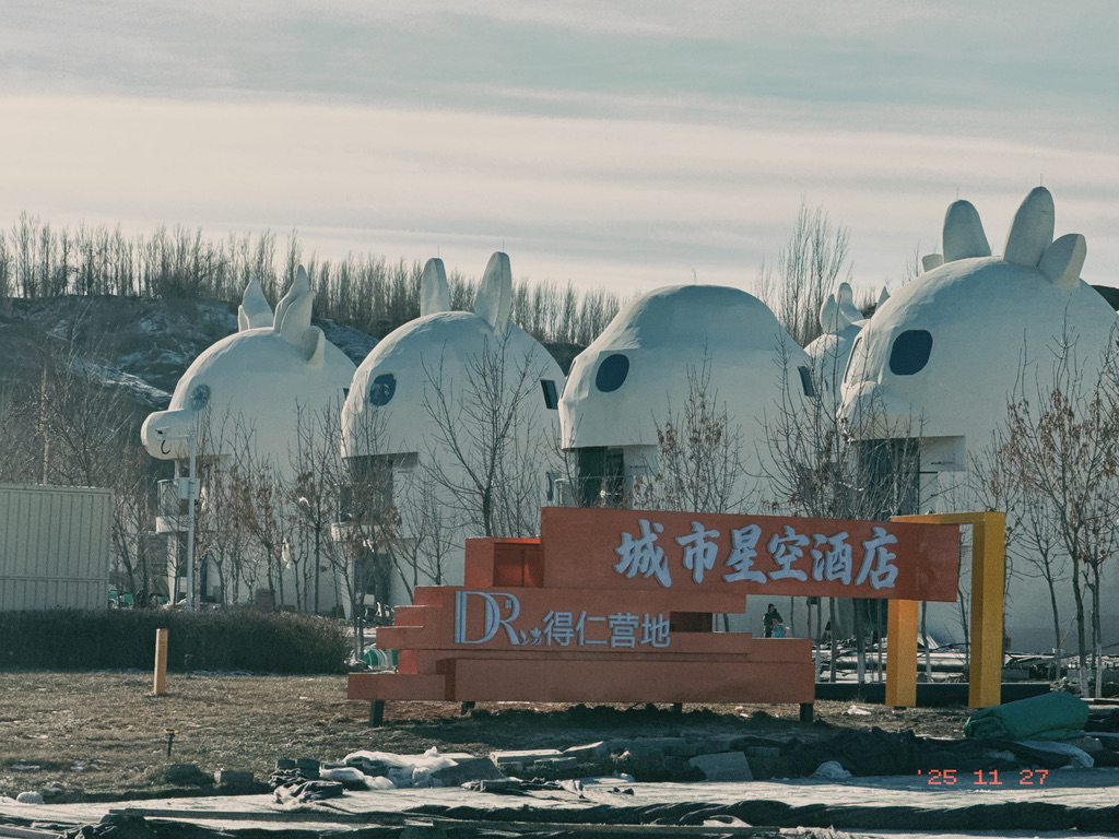 在北屯市看到了极其古怪的十二生肖民宿小楼