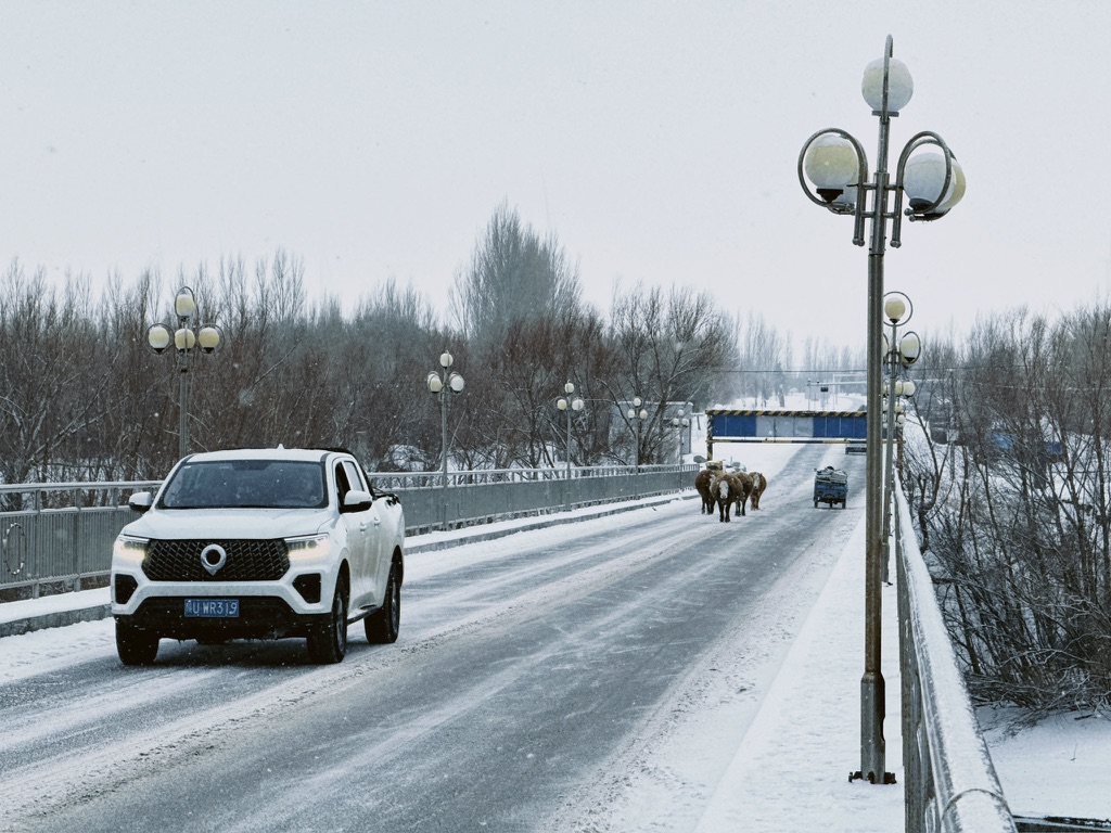 排队过桥的哞哞