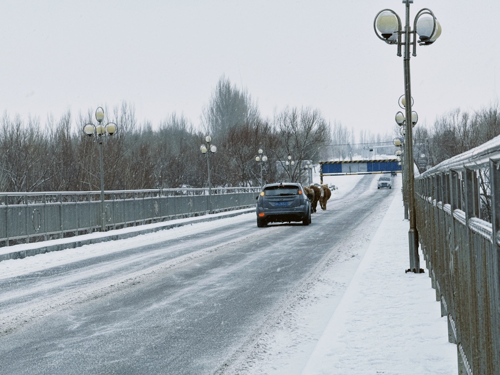 滑到中间的福克斯
