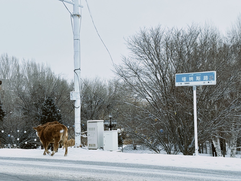 最后过桥下到路边