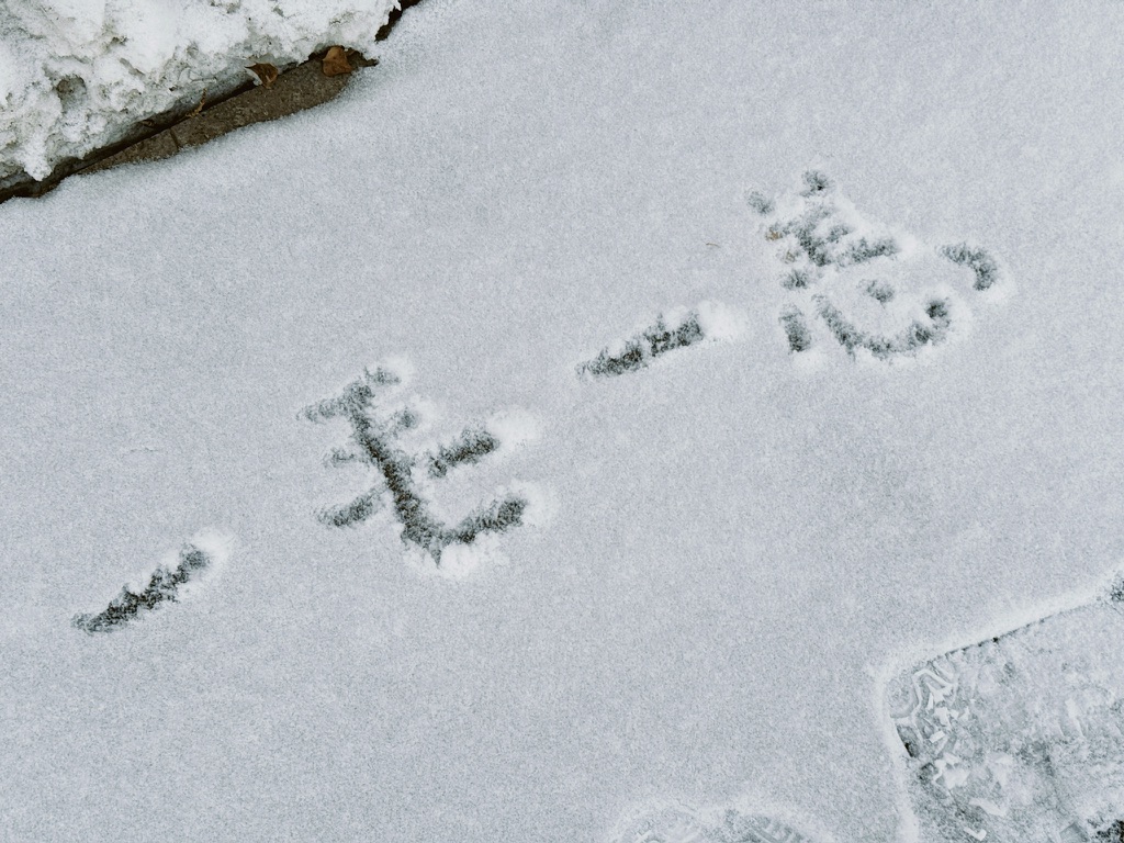 下午在河边的一毛一恙