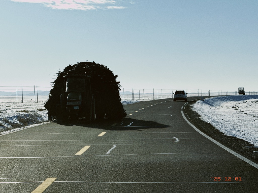 原来是拉着钢筋条子的拖拉机