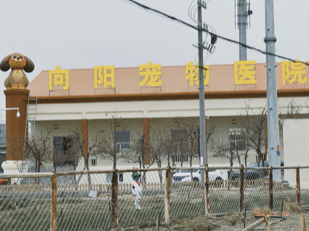 这里竟然有个规模不小的宠物医院