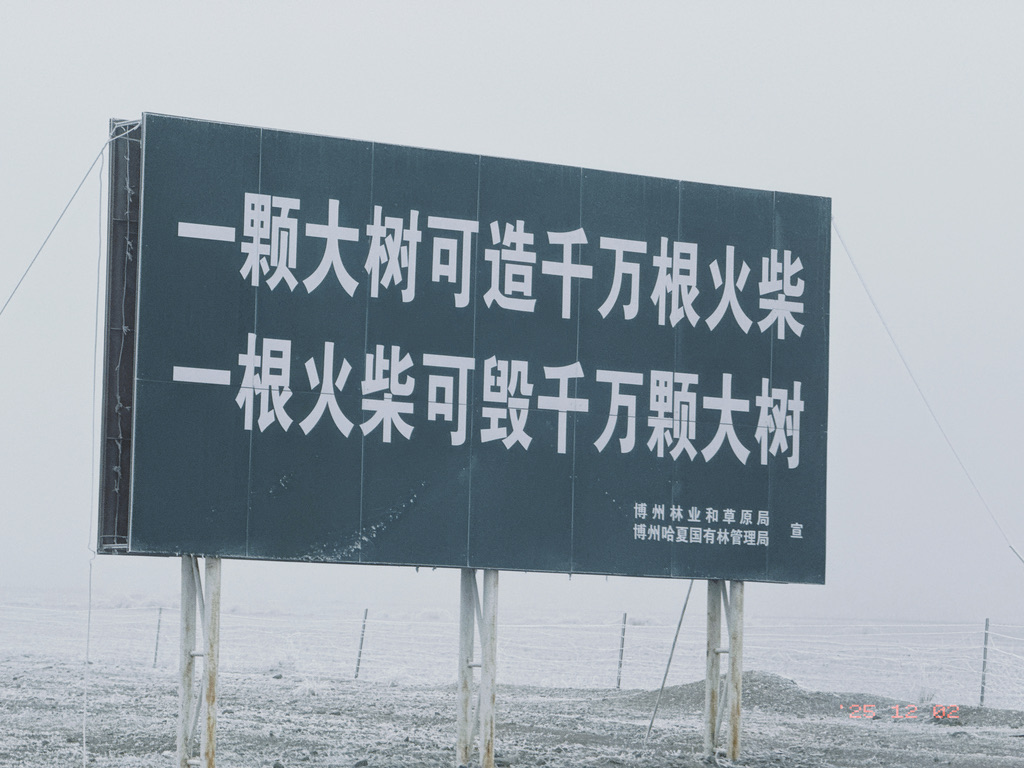 遇到这么一个无限递归的路牌，看得我陷入深思