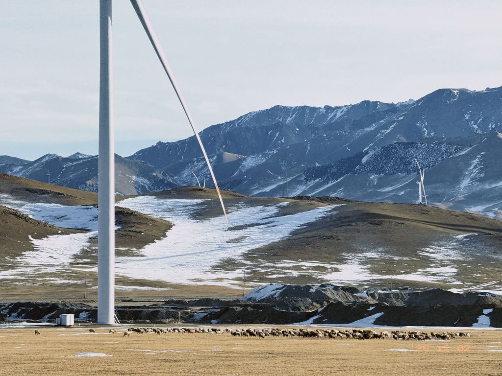 风机下的牧群，这算是什么朋克，放牧朋克