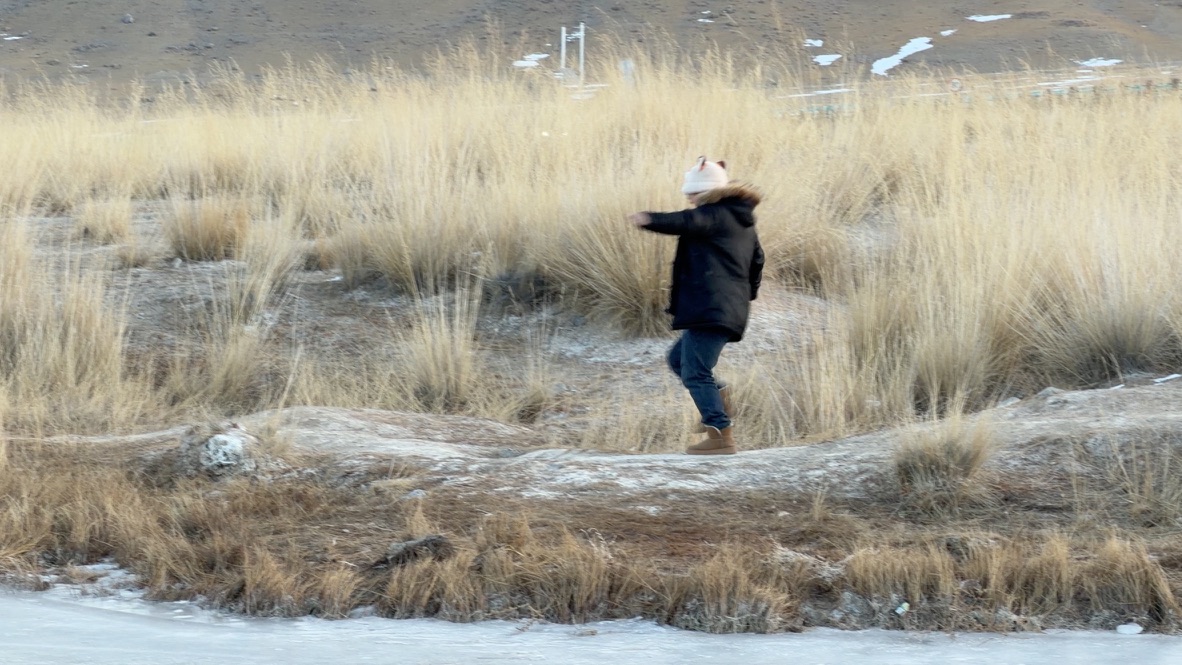 急急忙忙跑下来的毛