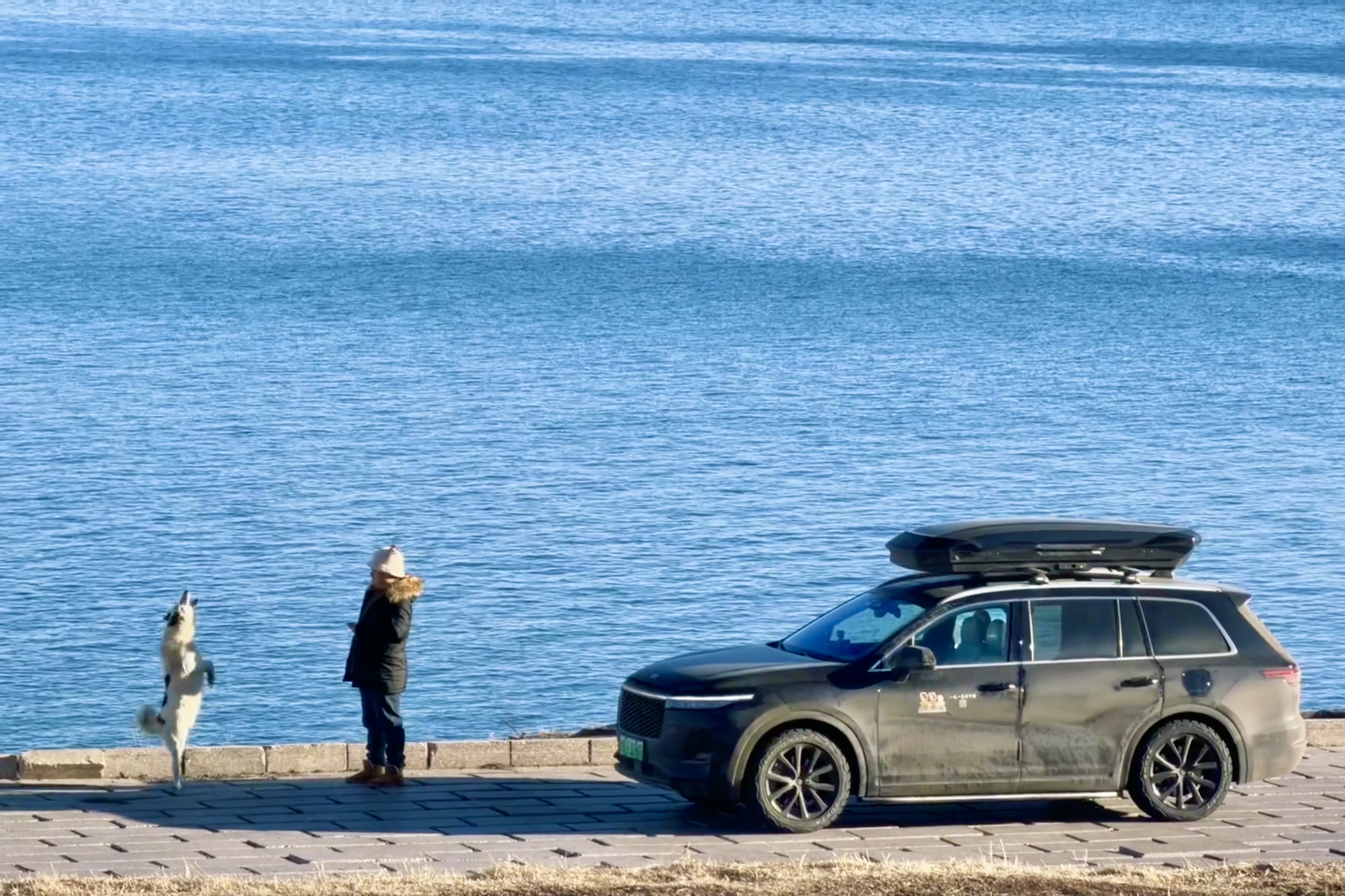 恙儿从山上给我拍到了抛物喂狗的 live，爱死了