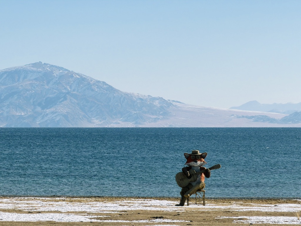 湖边弹吉他的狐狸