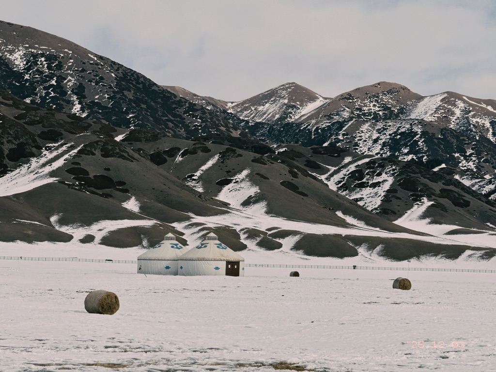 蒙古包和瑞士卷，好久不见
