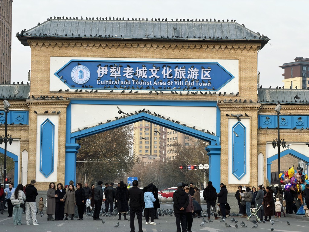 伊犁老城区的正门，上面的鸽子密密麻麻到好笑