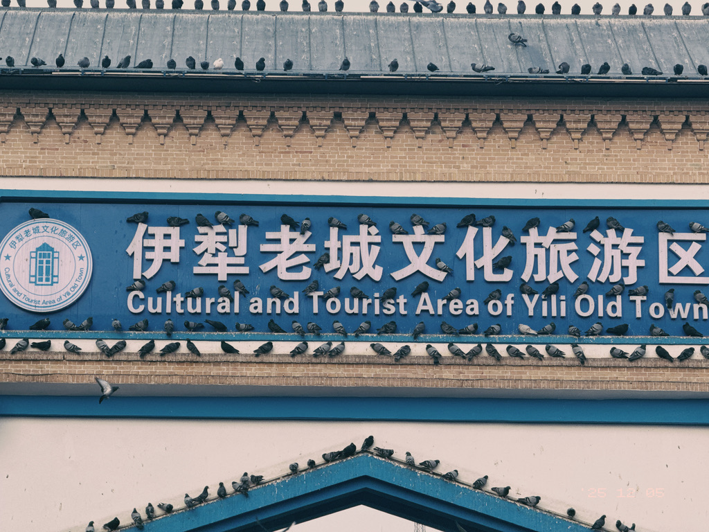 AI 都设计不出来的好看