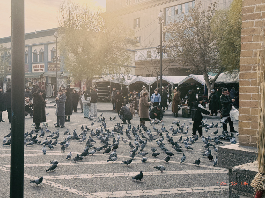 大概就是这么多