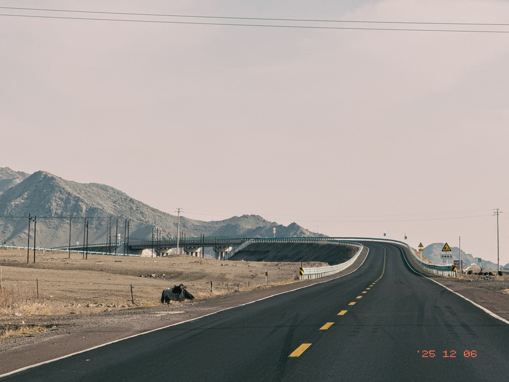 路上只有我们一辆