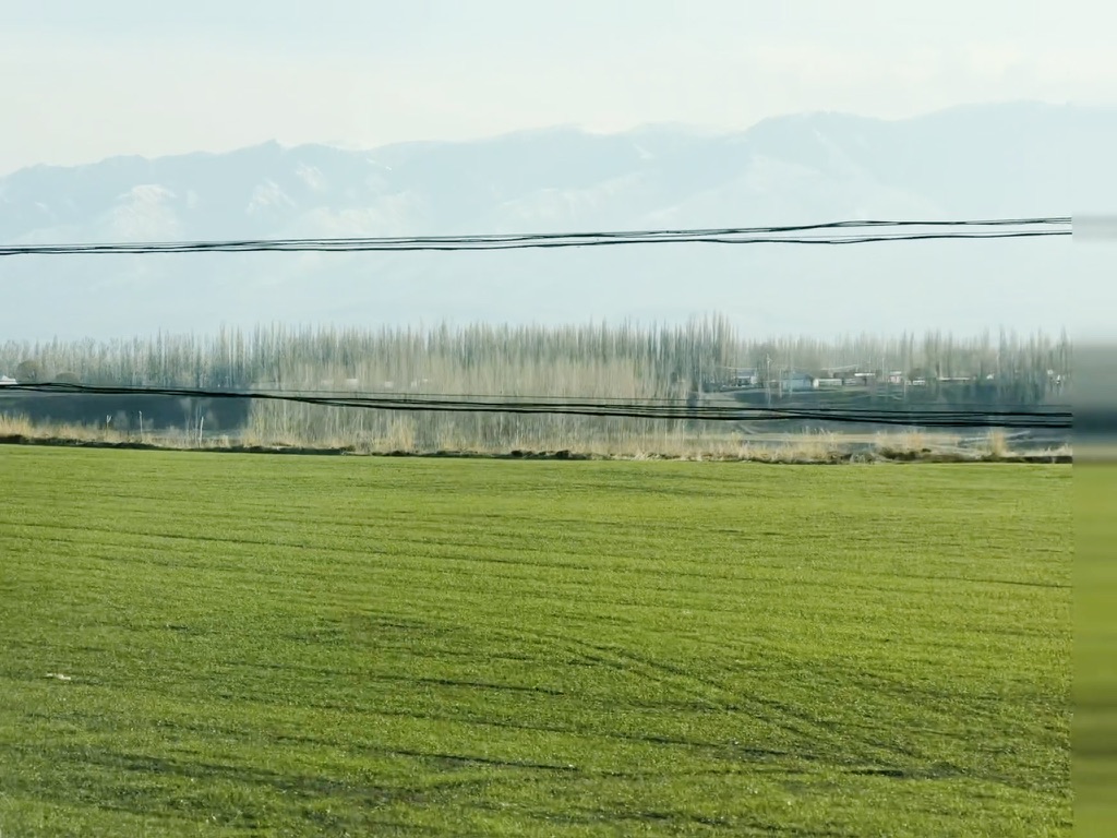 12 月还是绿色的田