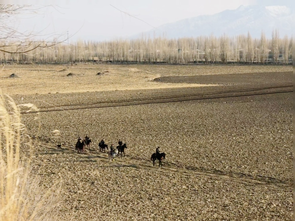 田野里穿越一群骑马的人，潇洒又快活