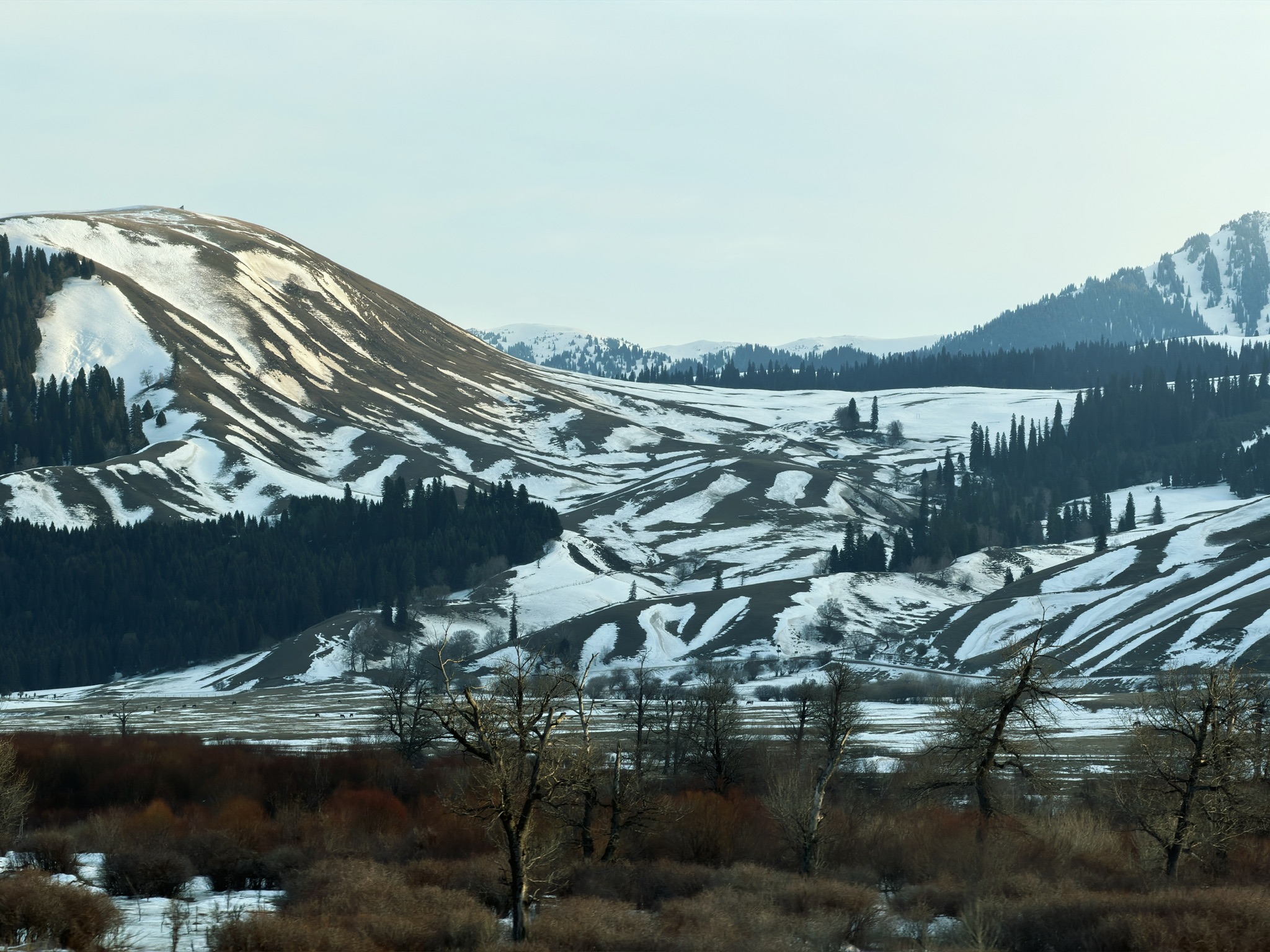 五花肉一样的那拉提草原