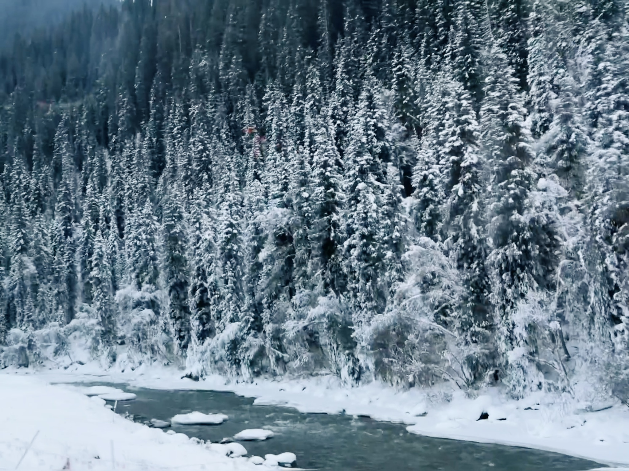 天色已黑，拍下糊糊的冰雪森林