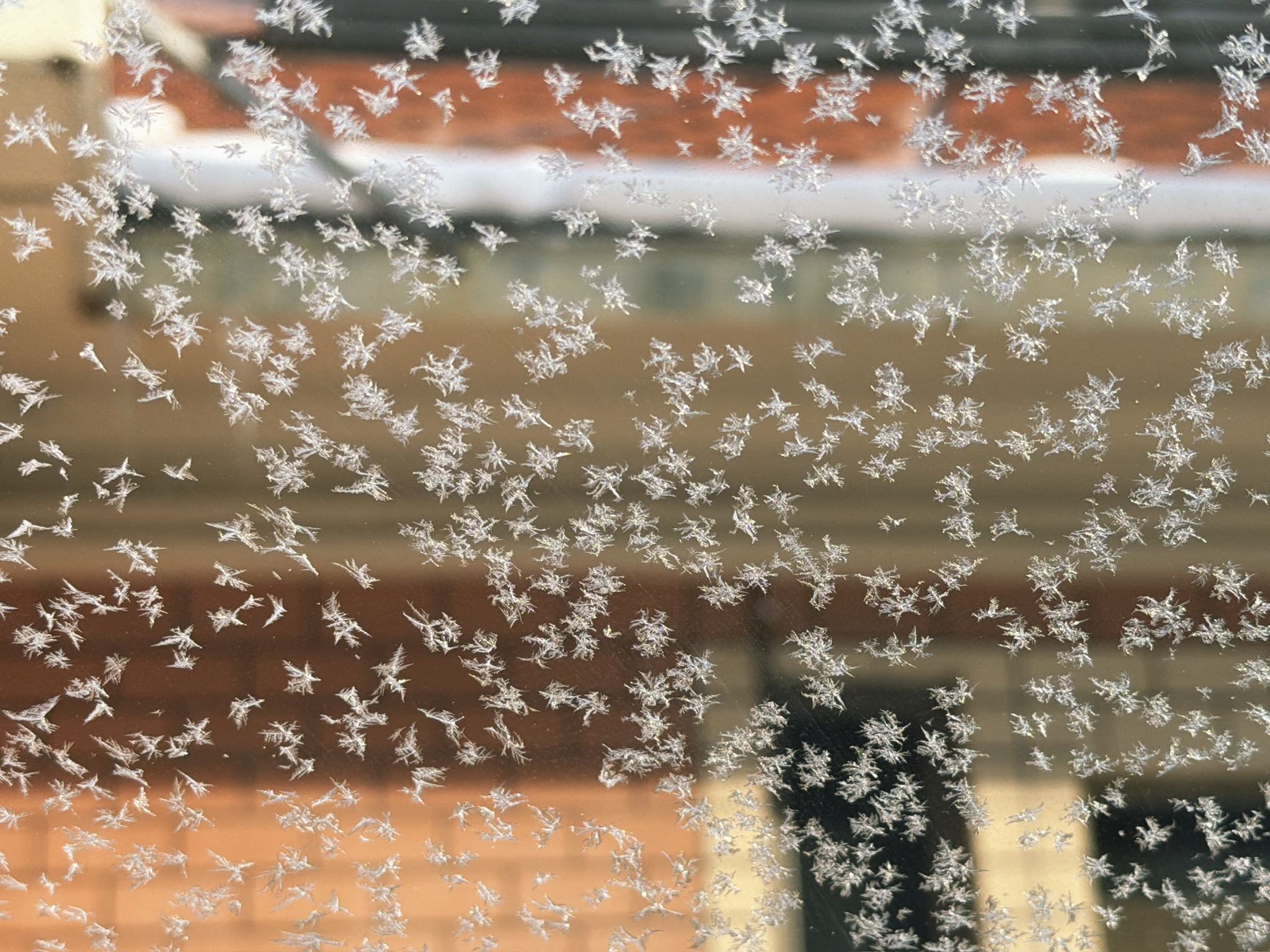 第二天一早的汽车窗花