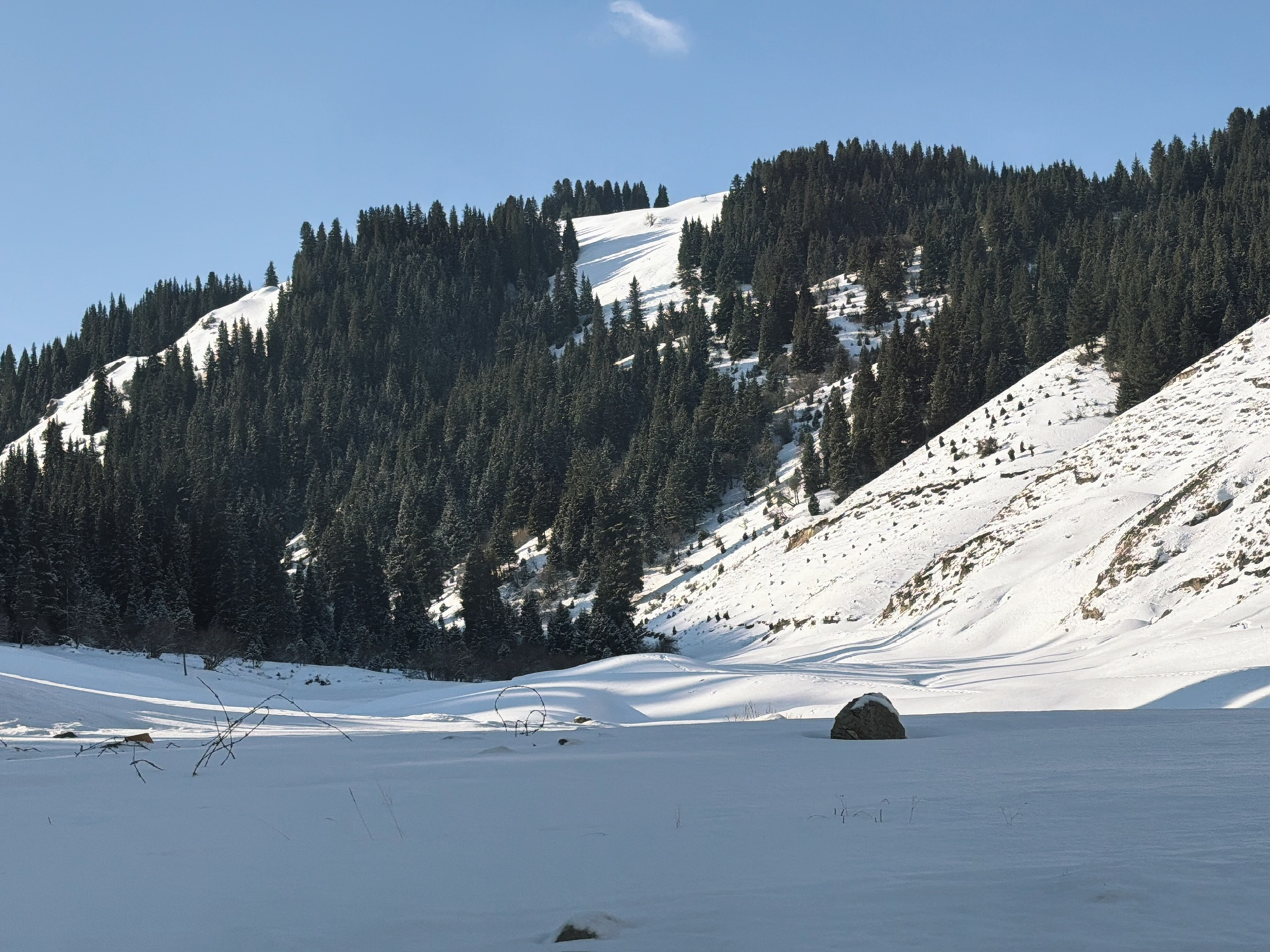 深深的雪沟和山上的松树