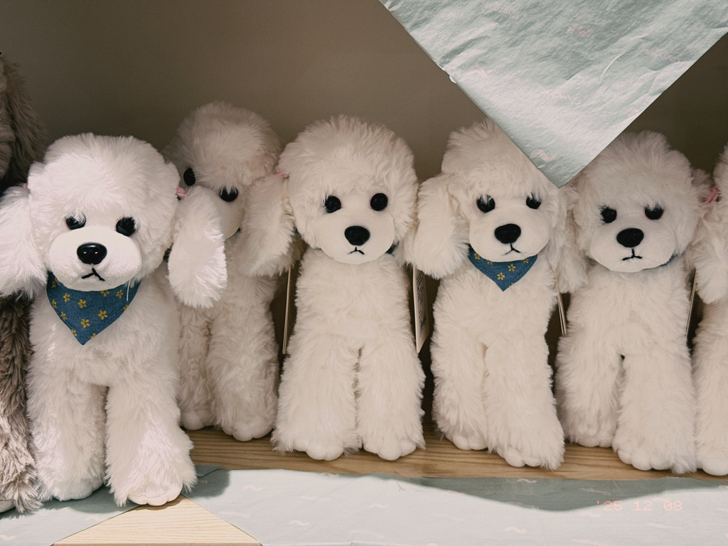 在商场里看到了纸纸们（纸纸，好陌生的演员名字）