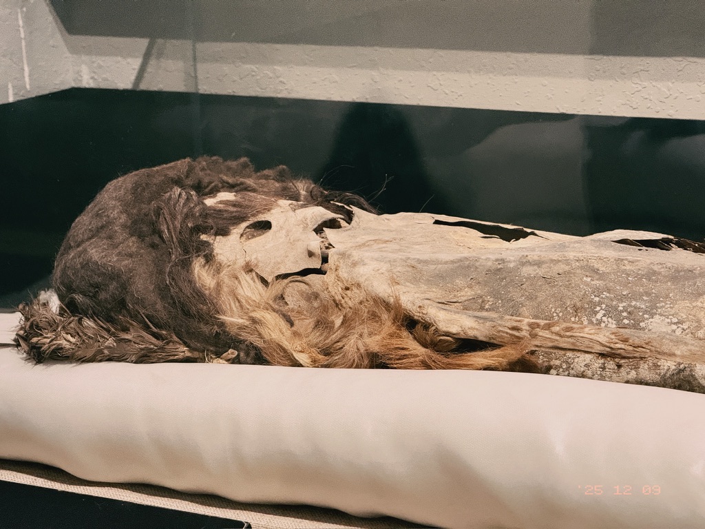 木尸不是真的尸体而是用木头装扮成尸体的样子