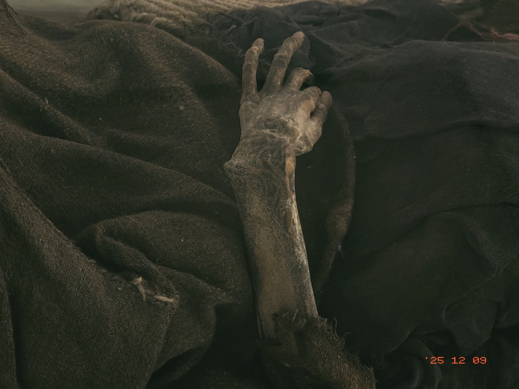 扎滚鲁克墓地女性干尸的手臂刺青