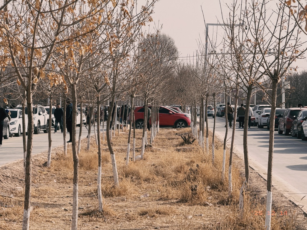 小路改建的停车场，两侧也停满了车