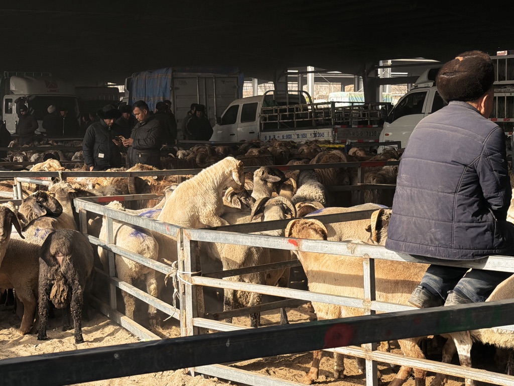 既然命运无法改变，先来一发吧