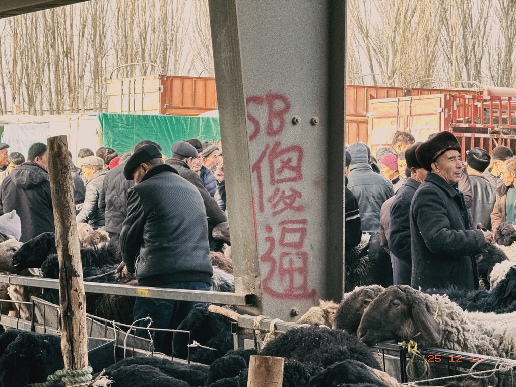 汉文化席卷边疆