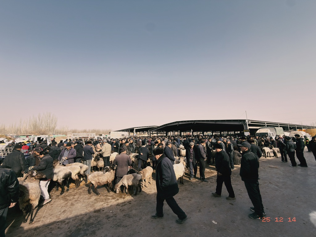 大巴扎人密集如斯