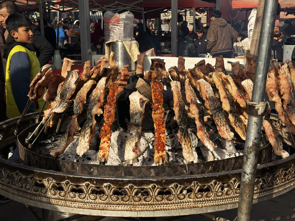 巴楚烤鱼青春版