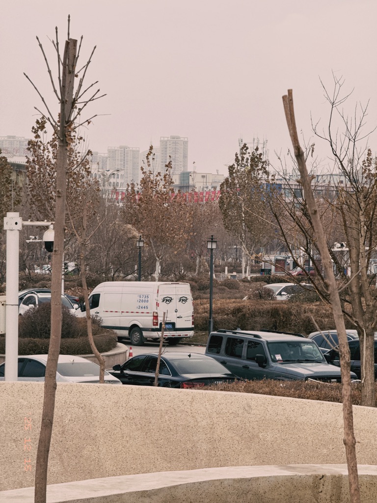 小姐睫毛在哪种的？