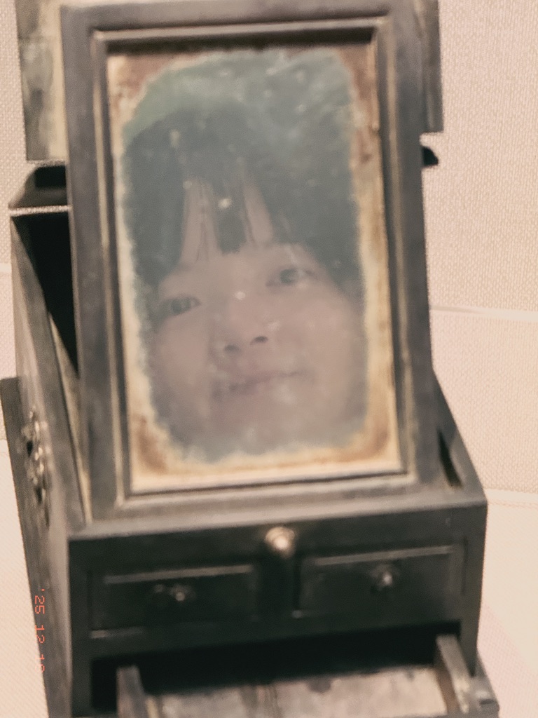 在清朝的镜子上映出 2025 年的恙