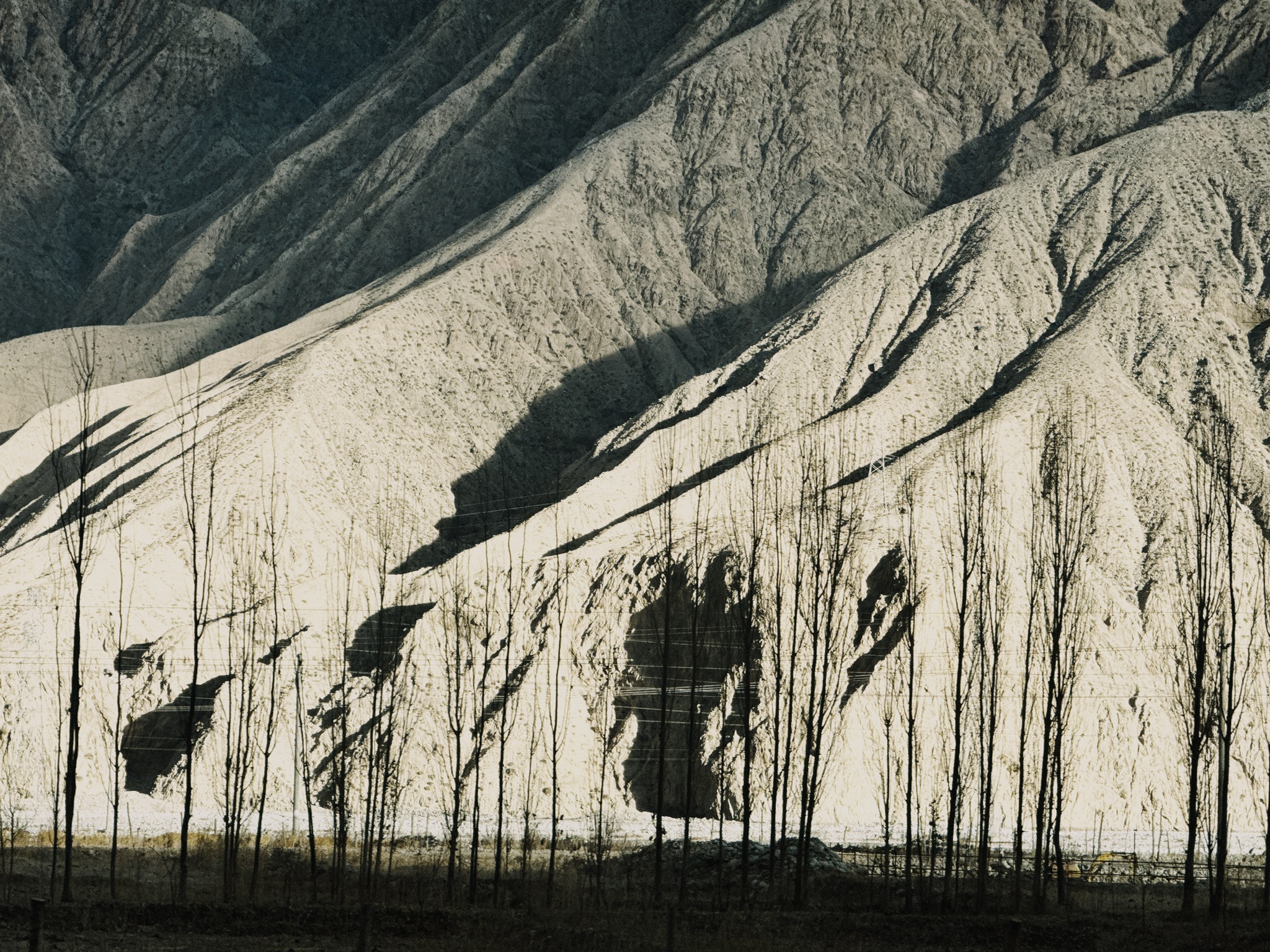 强烈的夕阳侧光