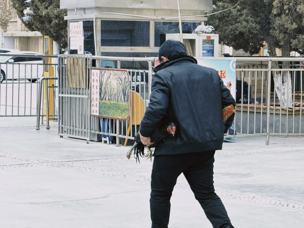 一位抱双鸡大叔路过