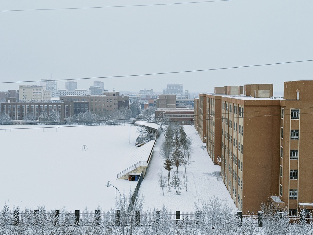被雪覆盖的操场