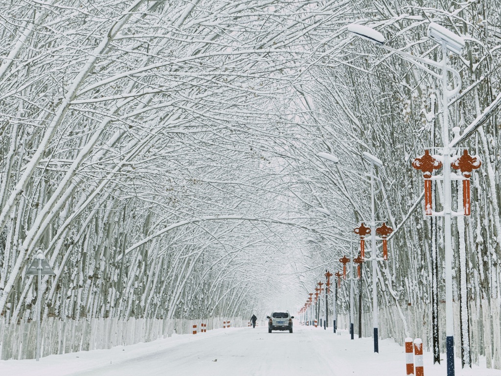 被雪覆盖的道路