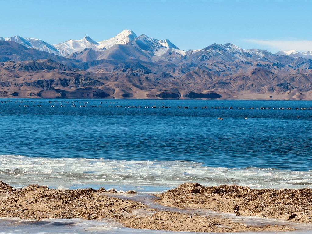 近处的碎冰、湖里的野鸭、远处的雪山
