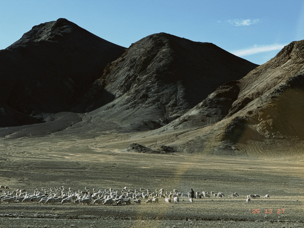 新藏线边上的牧民