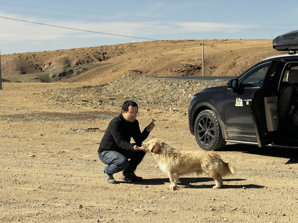 轻易被收买的狗狗